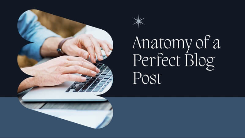 Anatomy Perfect Blog Post