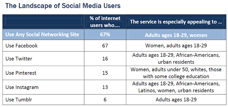 Landscape of social media users